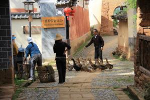 Shaxi Ancient Town